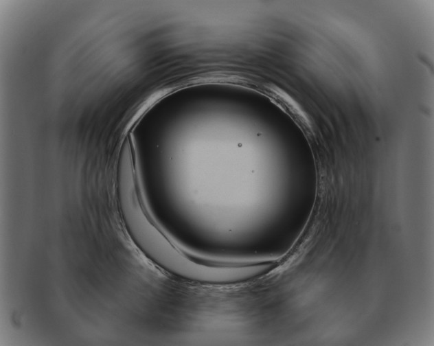 X0000091330860200708241159