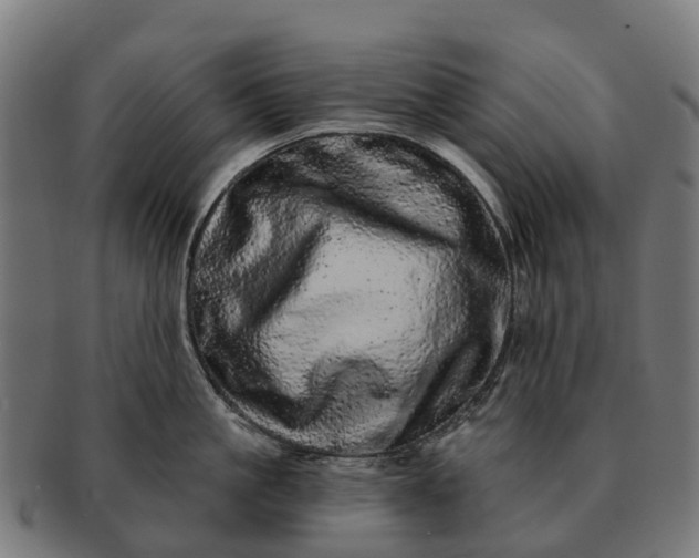 X0000091330861200708241159