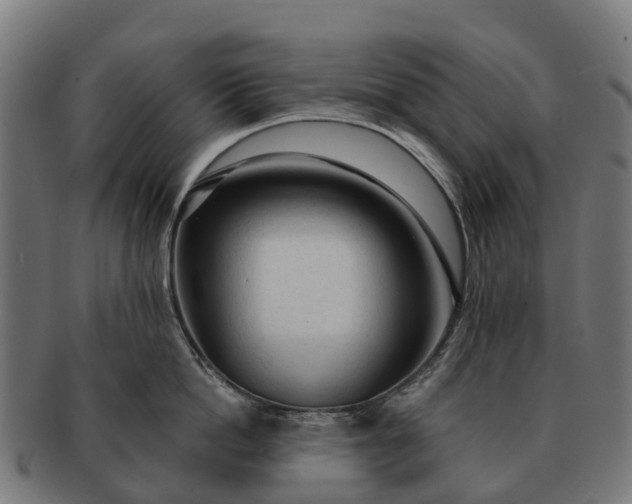 X0000091330862200708241159