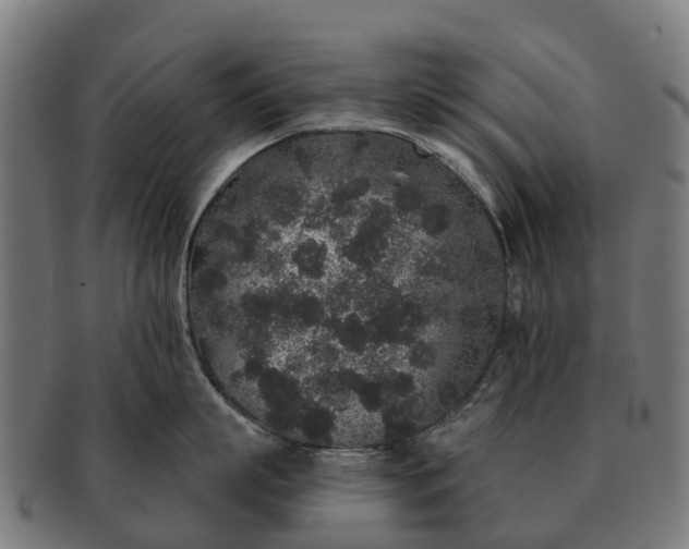 X0000091330863200708241159