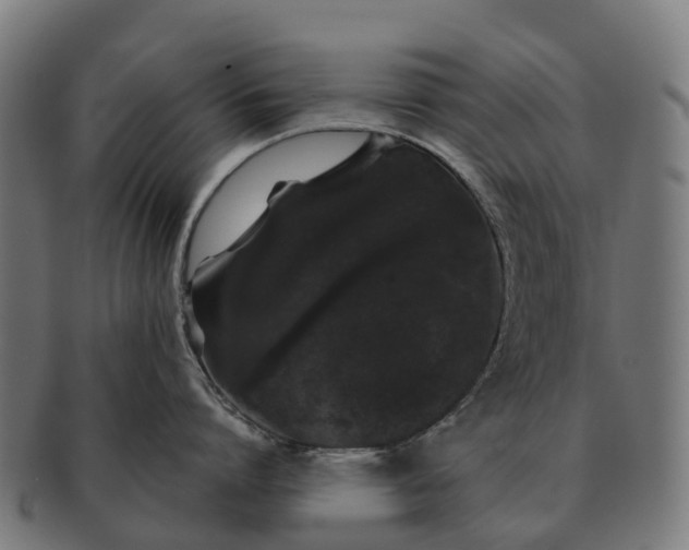 X0000091330864200708241159