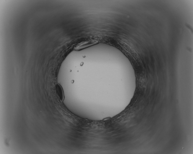 X0000091330865200708241158