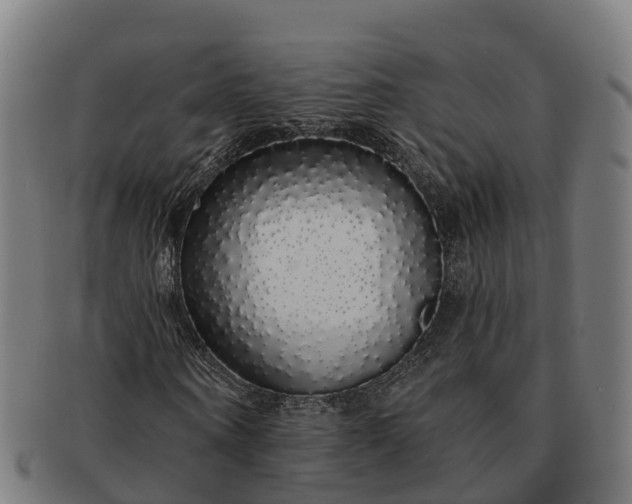 X0000091330866200708241158