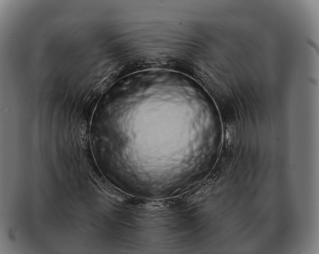 X0000091330867200708241158