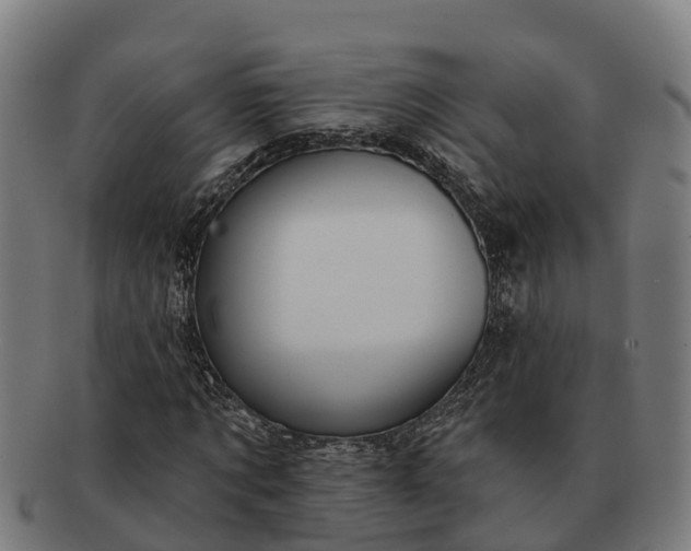 X0000091330869200708241158