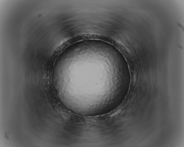 X0000091330870200708241158