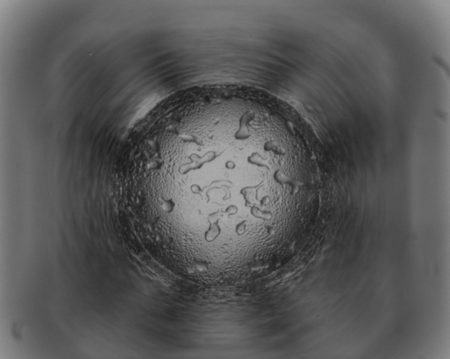 X0000091330871200708241158