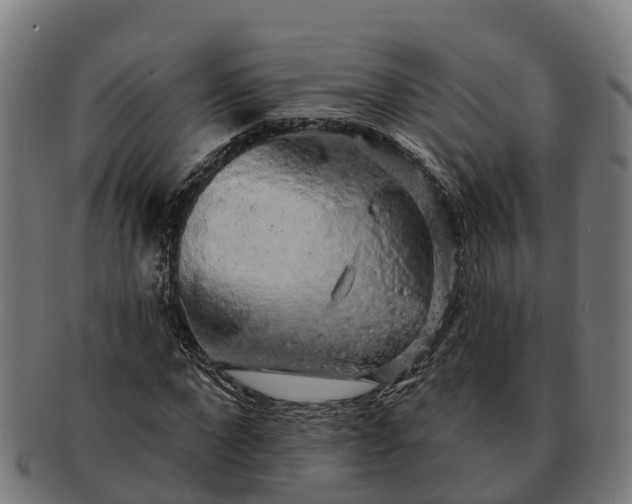 X0000091330872200708241158