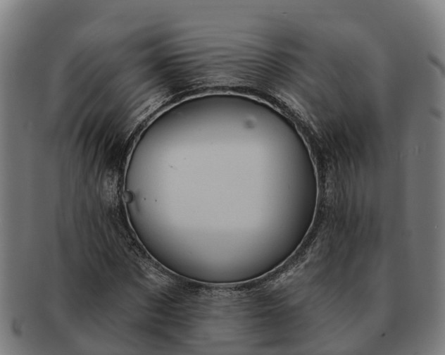 X0000091330873200708241158