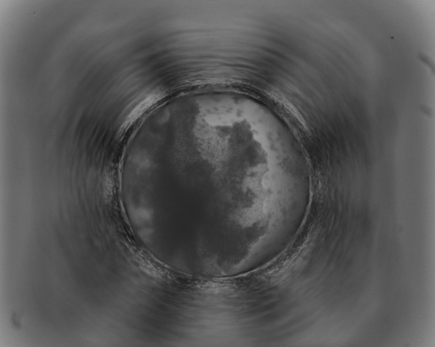 X0000091330874200708241158