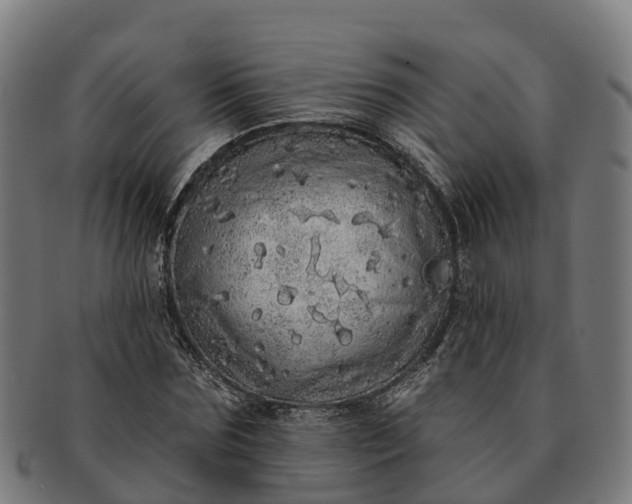 X0000091330875200708241158