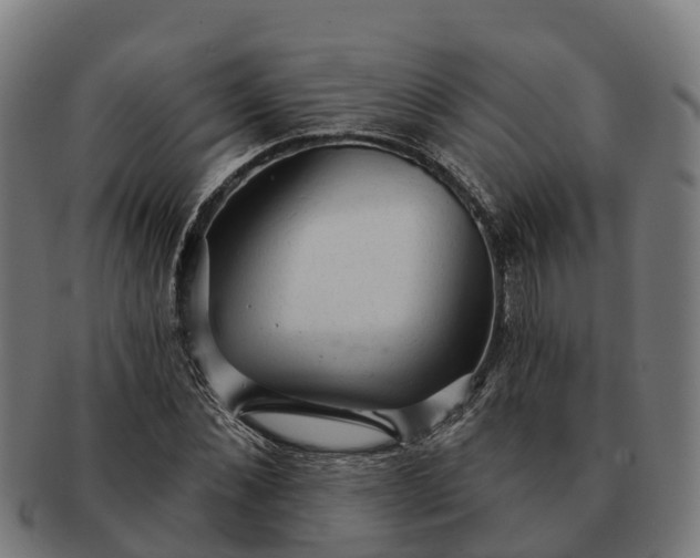 X0000091330876200708241158