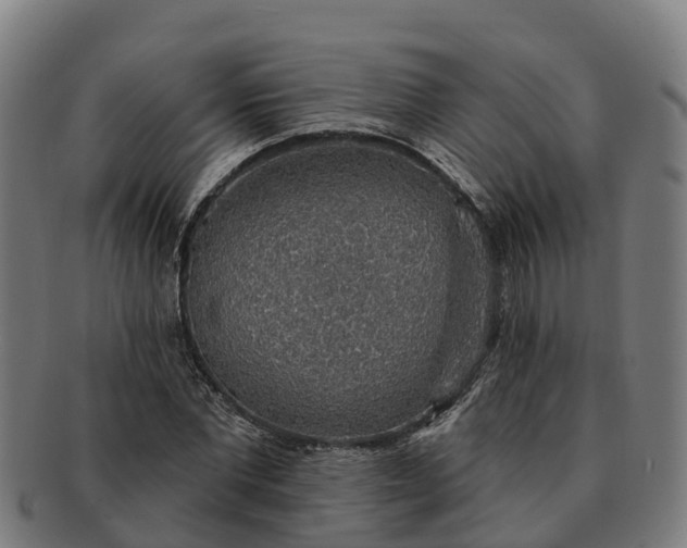 X0000091330877200708241158