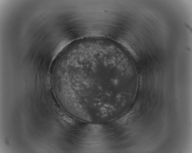 X0000091330878200708241158