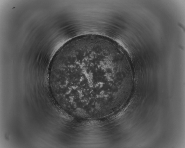 X0000091330879200708241158