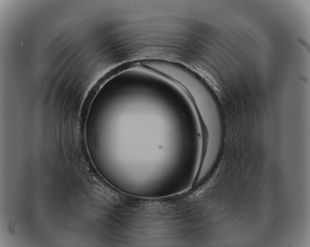 X0000091330880200708241158