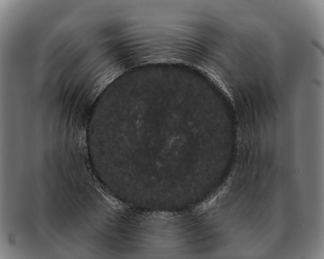 X0000091330881200708241158