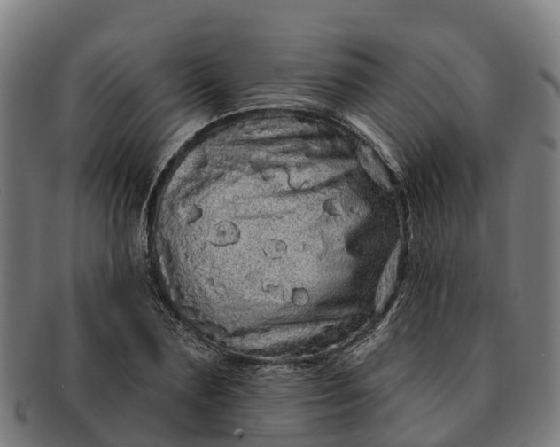 X0000091330883200708241158