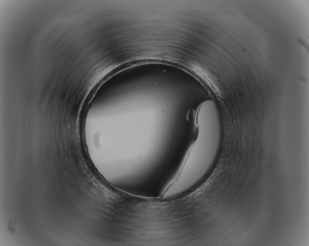 X0000091330884200708241158