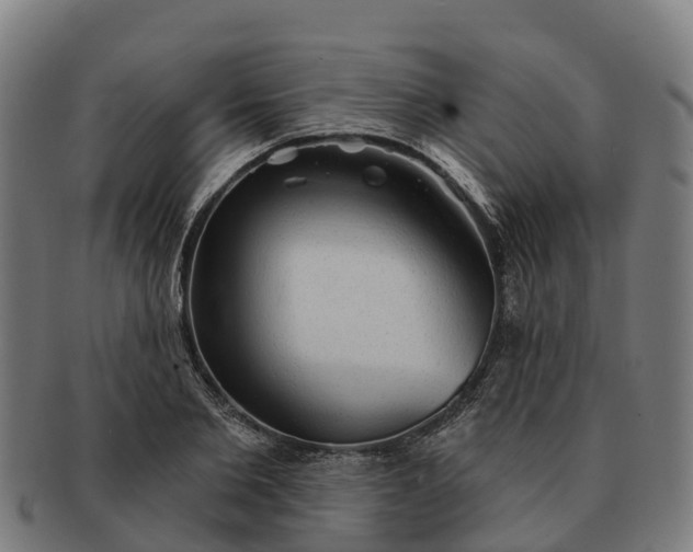 X0000091330885200708241158