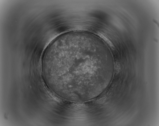 X0000091330886200708241158