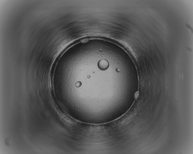 X0000091330887200708241158