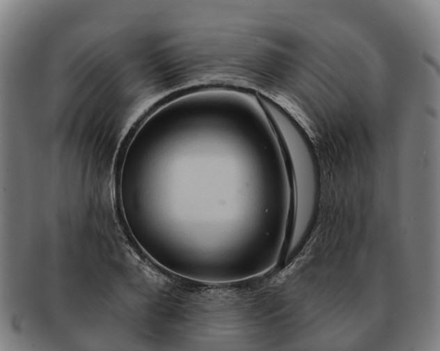 X0000091330888200708241158