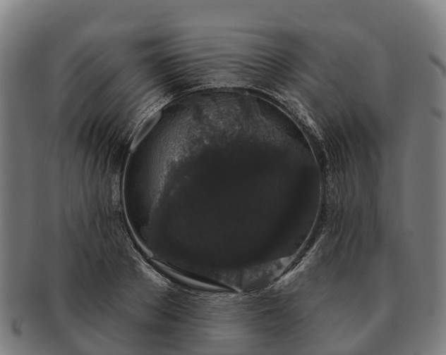 X0000091330889200708241158