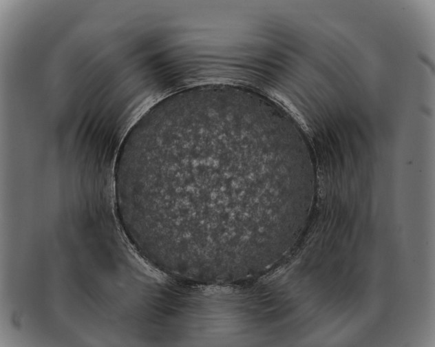 X0000091330890200708241157