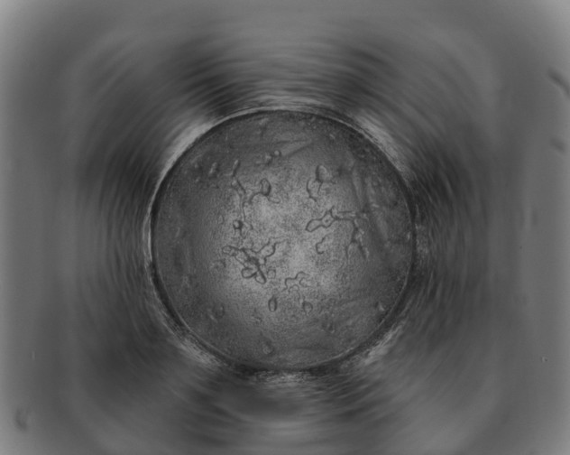 X0000091330891200708241157