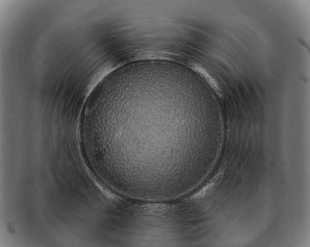 X0000091330893200708241157