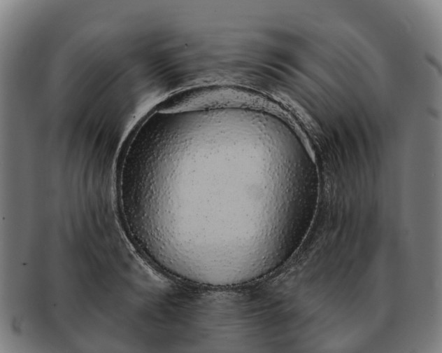 X0000091330894200708241157