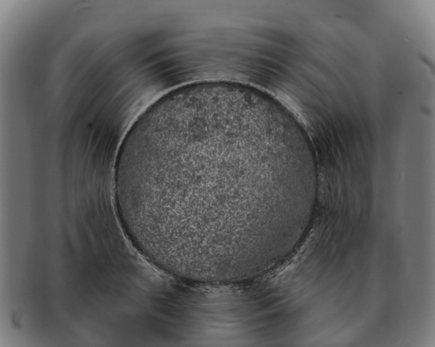 X0000091330895200708241157