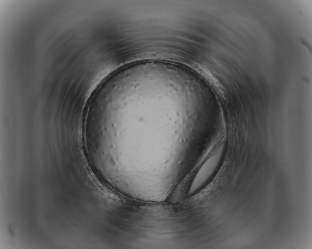 X0000091330896200708241157