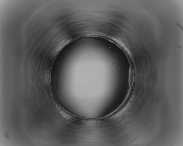 X0000091330897200708241157