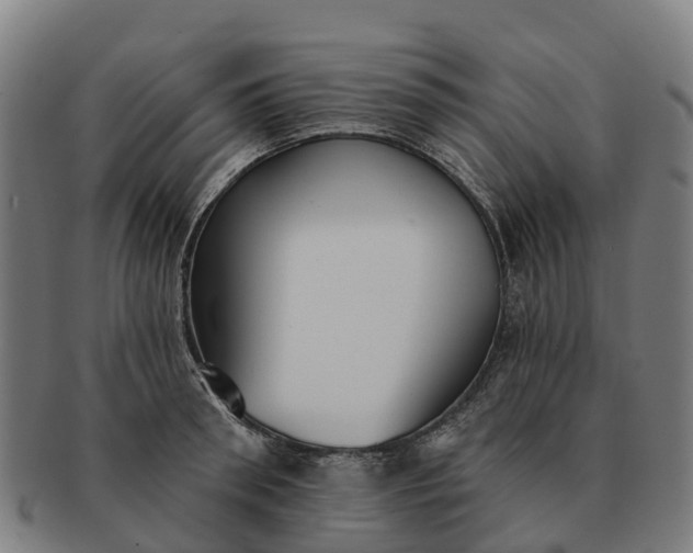 X0000091330898200708241157