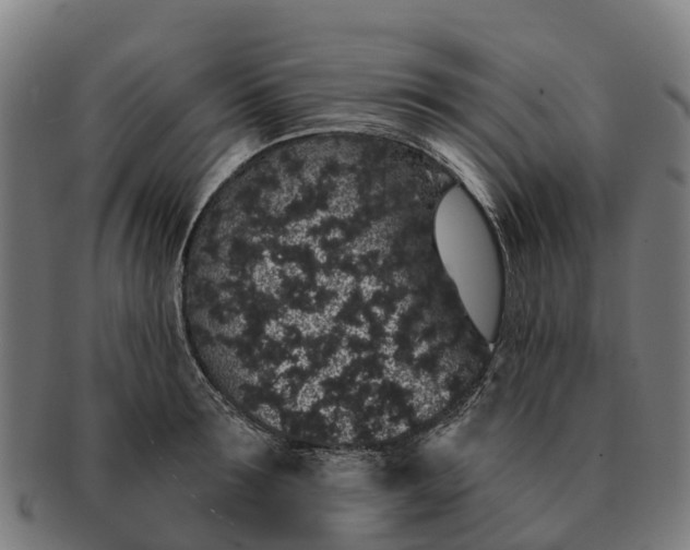 X0000091330899200708241157