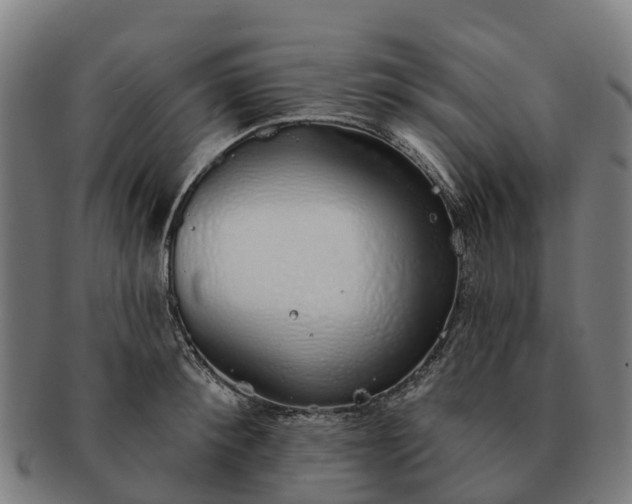 X0000091330900200708241157