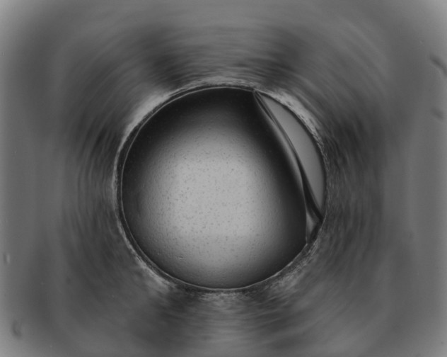 X0000091330902200708241157