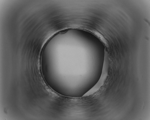 X0000091330904200708241157