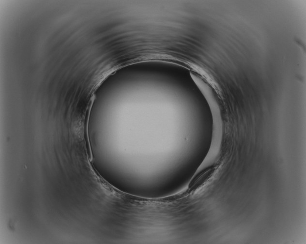 X0000091330905200708241157