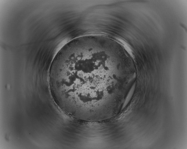 X0000091330907200708241157