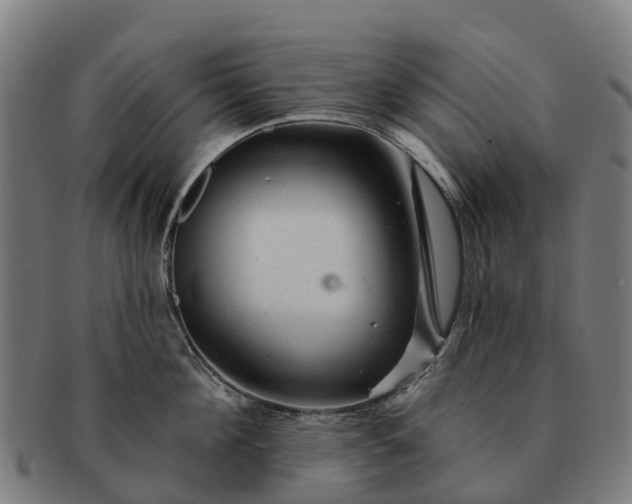 X0000091330908200708241157