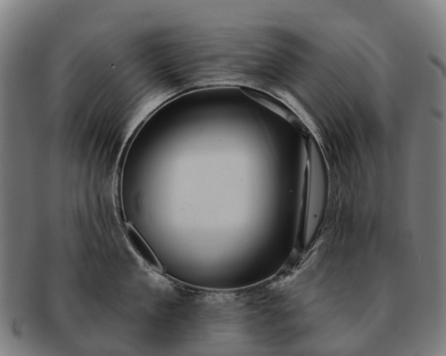 X0000091330909200708241157