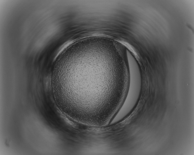 X0000091330910200708241157