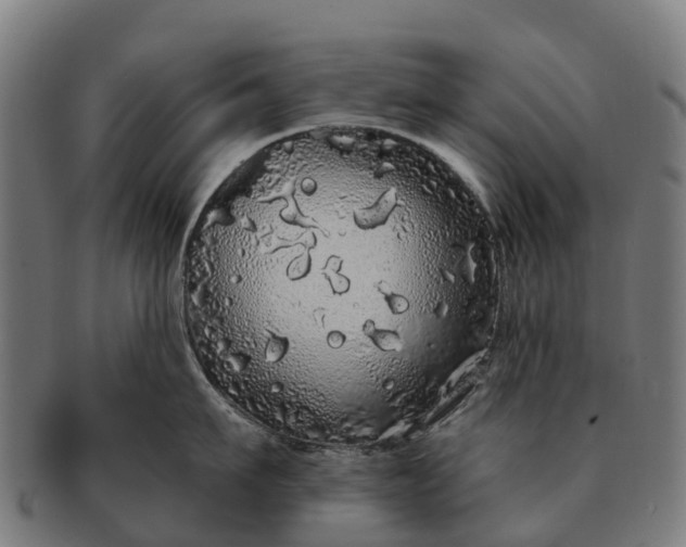 X0000091330911200708241157