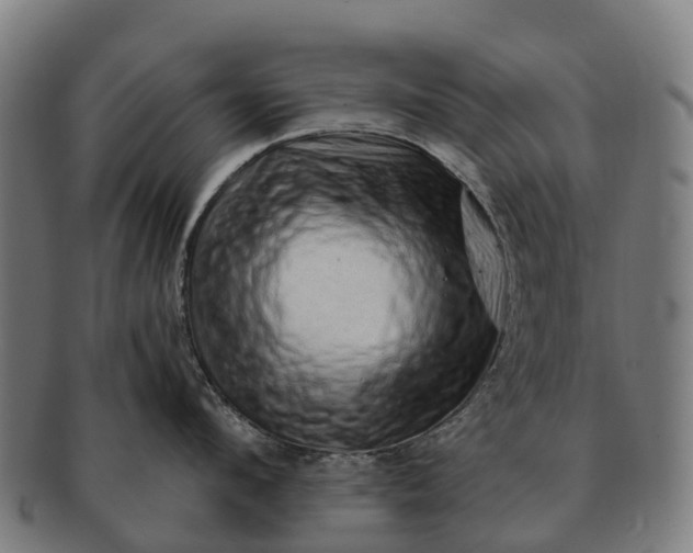 X0000091330912200708241157