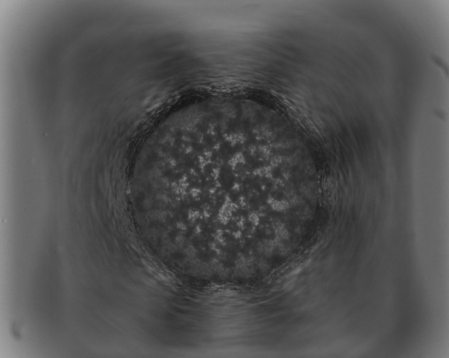 X0000091330913200708241157