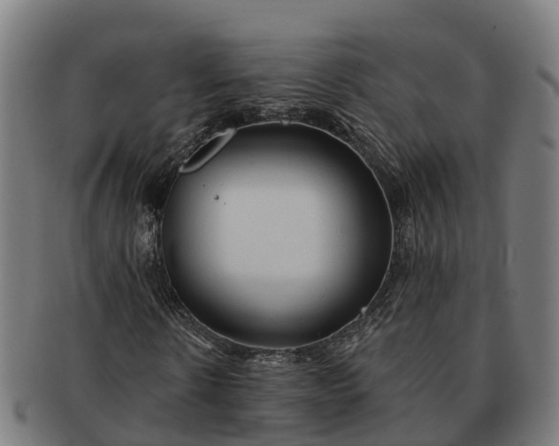 X0000091330914200708241157