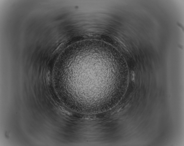 X0000091330915200708241157